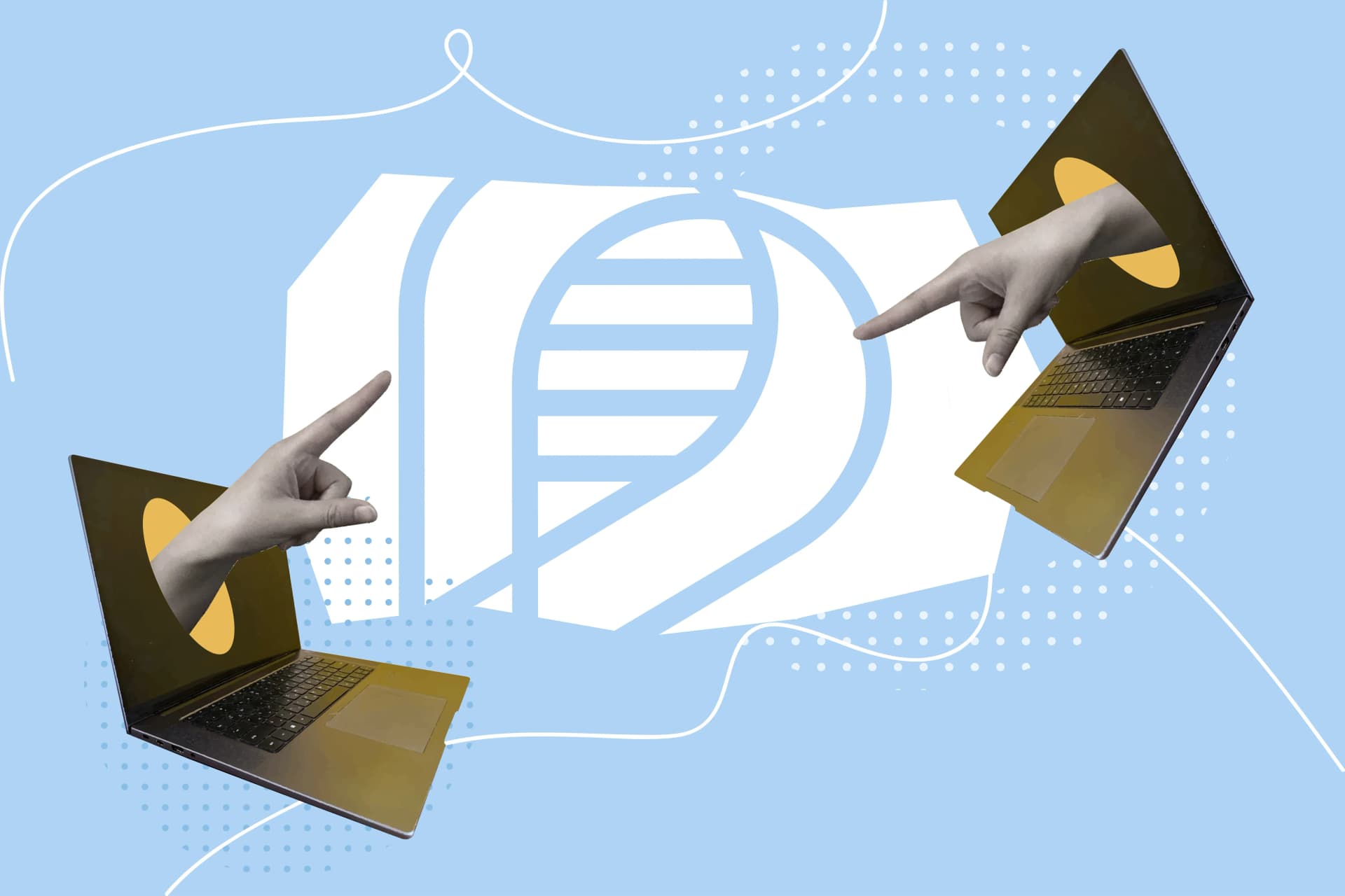 Link Building for Japan