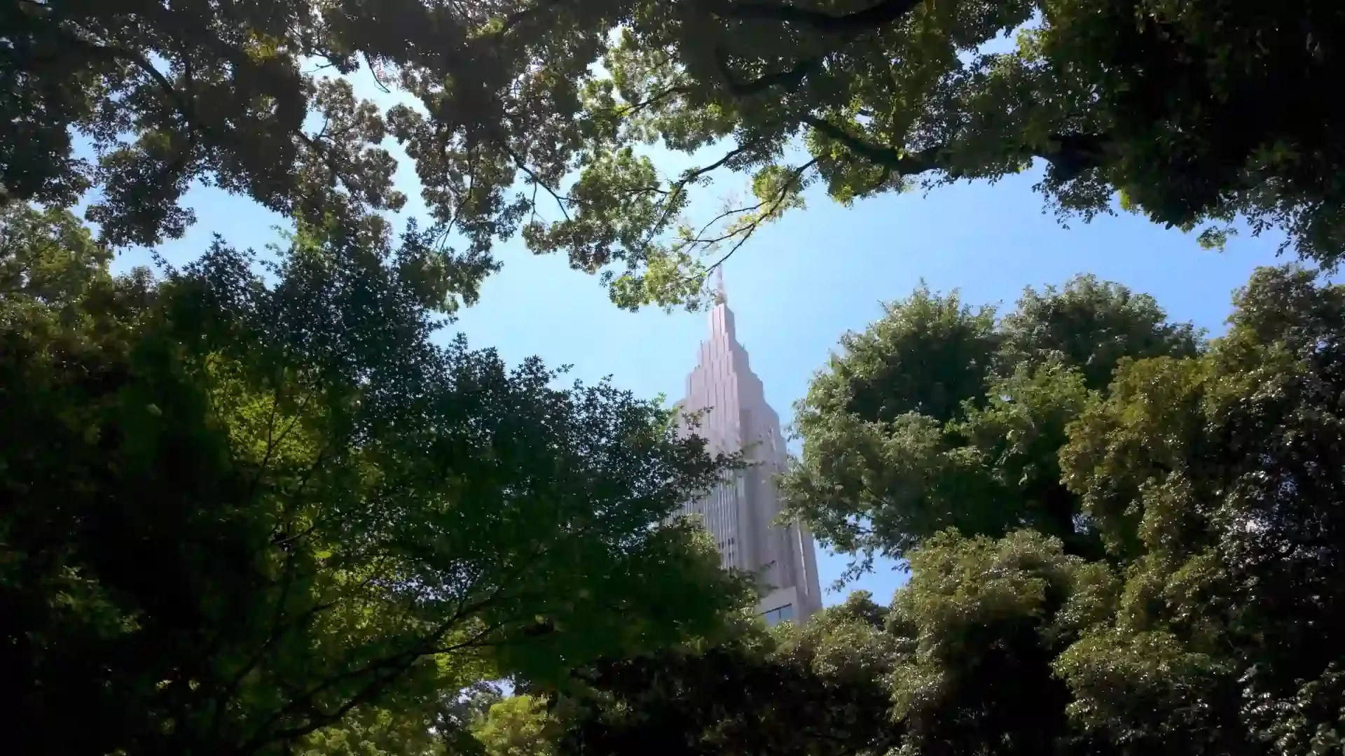 Tower in Tokyo from Park